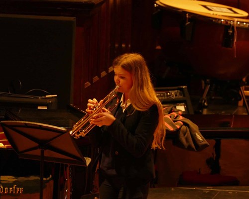 Celebrating Brass Concert (November 2022)